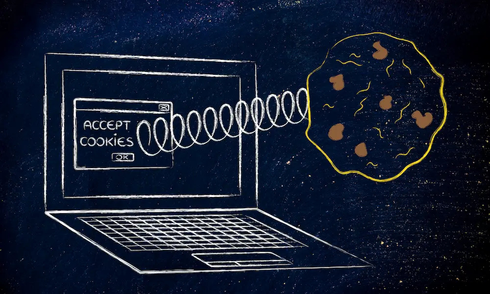 Browser Cookie